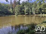 Vente Terrain 10 647 m&sup2; — photo 3