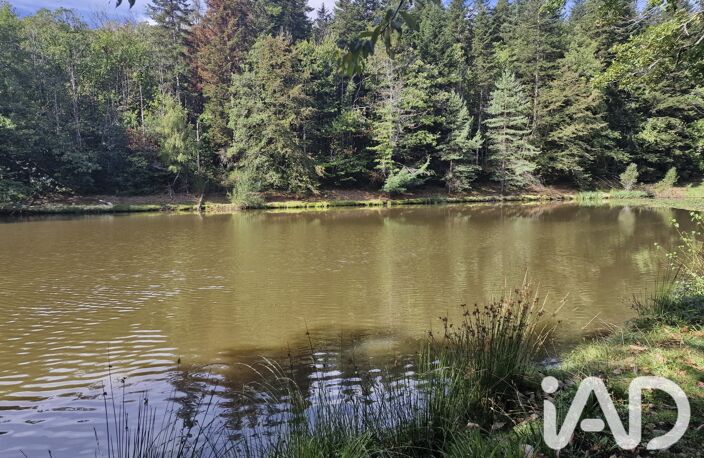 Vente Terrain 10 647 m&sup2; — photo 3