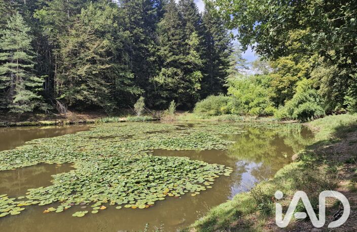 Vente Terrain 10 647 m&sup2; — photo 4
