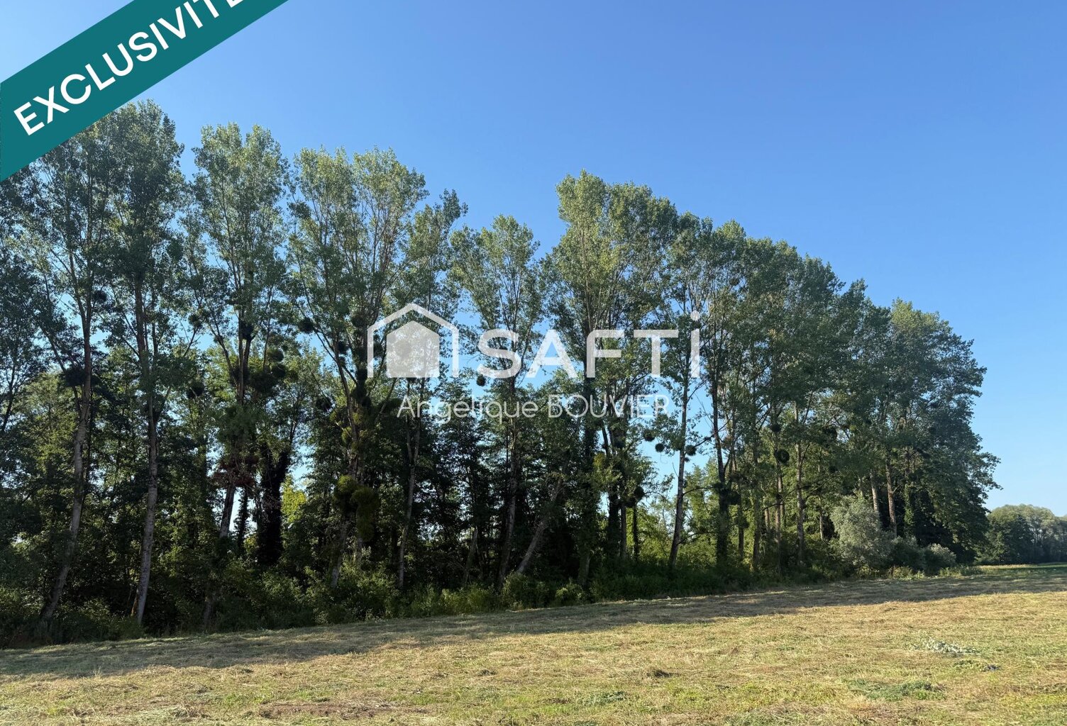 MONT-SOUS-VAUDREY — photo 1