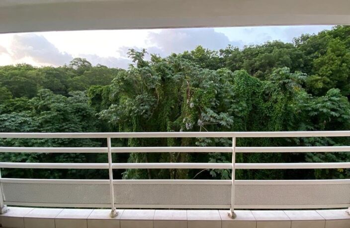 Route de Balata T4 Vue dégagée et cadre verdoyant — photo 3