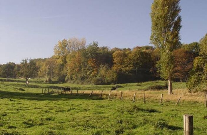 Thiescourt -  Grand Terrain à bâtir de 2095 m2 — photo 4