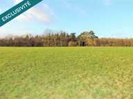 Magnifique terrain constructible viabilisé — photo 2