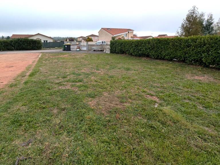 Terrain — photo 1