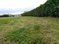 Terrain — photo 3