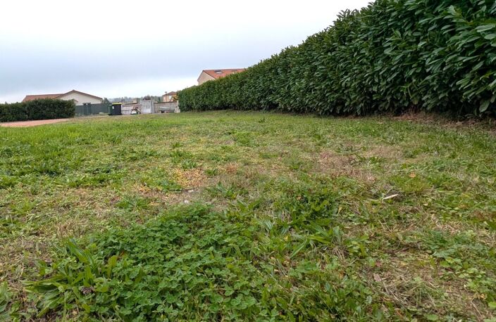 Terrain — photo 3