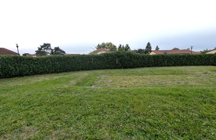 Terrain — photo 4