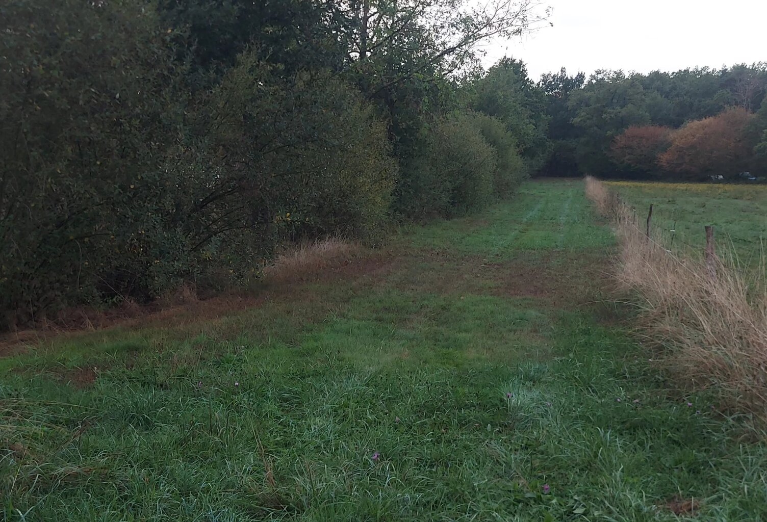 Vente terrain  7940 m² Orléat (63190) — photo 1