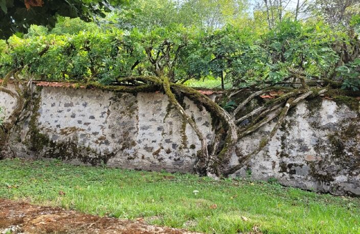 Vente maison 6 pièces 234 m² Bort-les-Orgues (19110) — photo 3