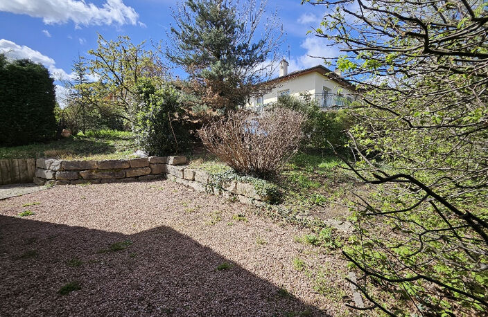 Maison de village T6 avec jardinet 69340 FRANCHEVILLE — photo 4