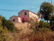 maison Alata — photo 4