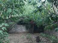 Maison — photo 3