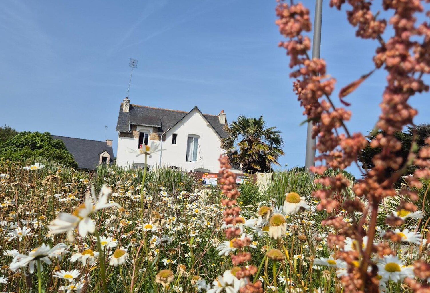 Maison de charme à Quiberon — photo 1