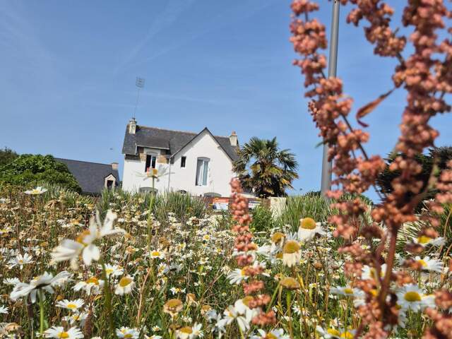 Maison de charme à Quiberon — photo du bien