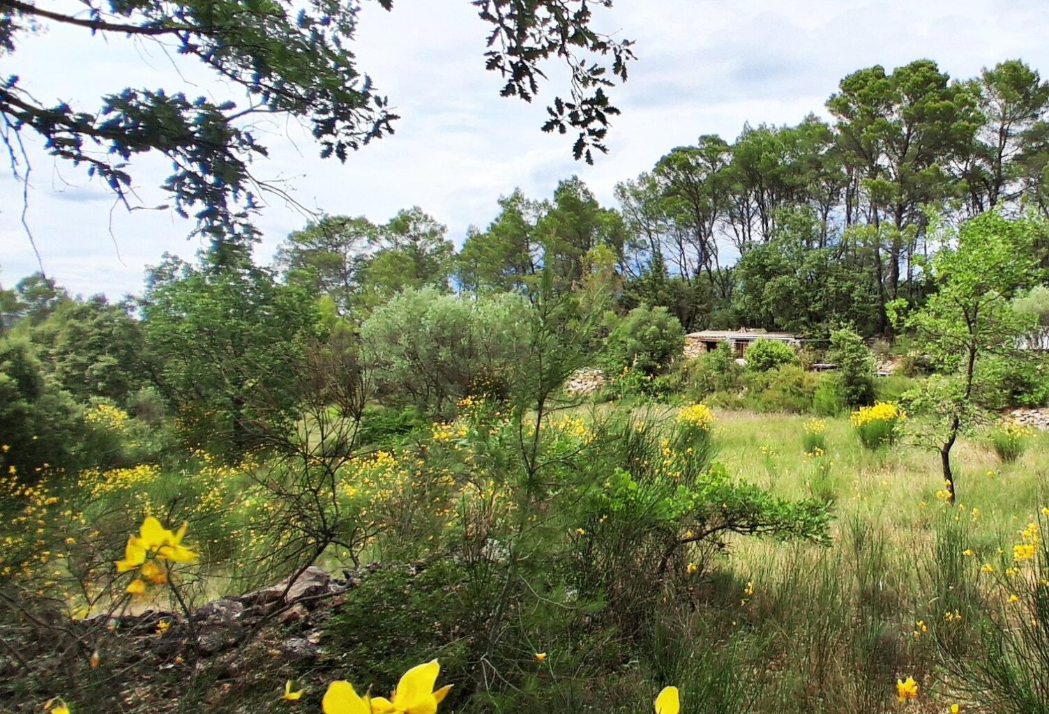 Ancienne propriété agricole de 6Ha en AOP — photo 1