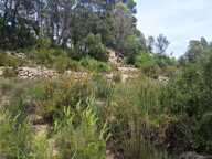 Ancienne propriété agricole de 6Ha en AOP — photo 3