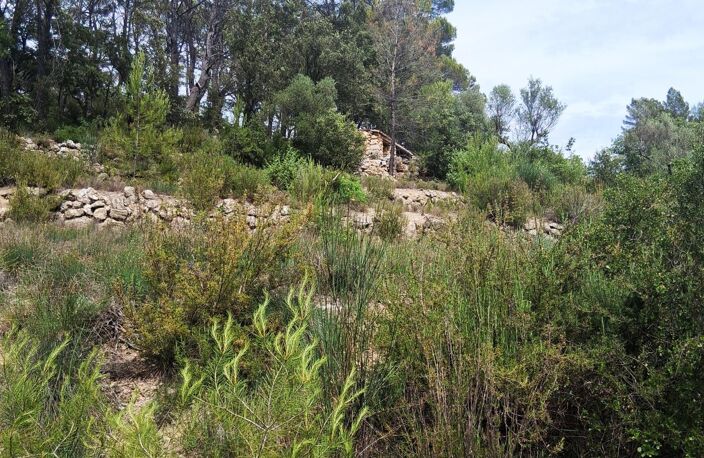 Ancienne propriété agricole de 6Ha en AOP — photo 3