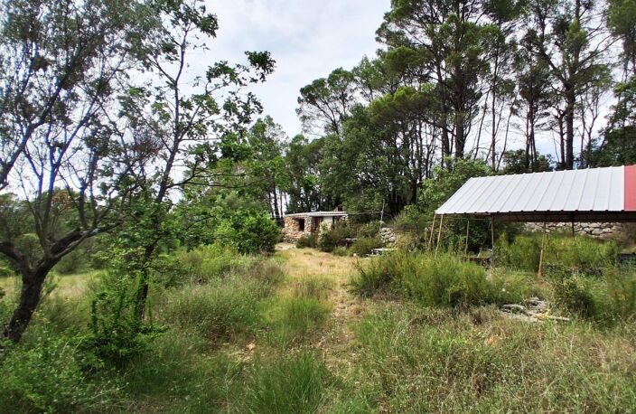 Ancienne propriété agricole de 6Ha en AOP — photo 4
