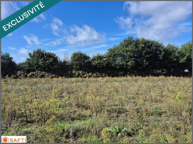 Terrain constructible viabilisé — photo du bien
