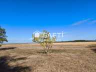 PROPRIETE AGRICOLE D'UN SEUL TENANT - LIBRE — photo 3