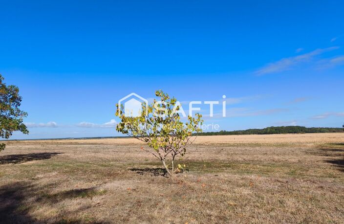 PROPRIETE AGRICOLE D'UN SEUL TENANT - LIBRE — photo 3