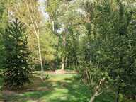 Vente Terrain 6 000 m&sup2; — photo 2