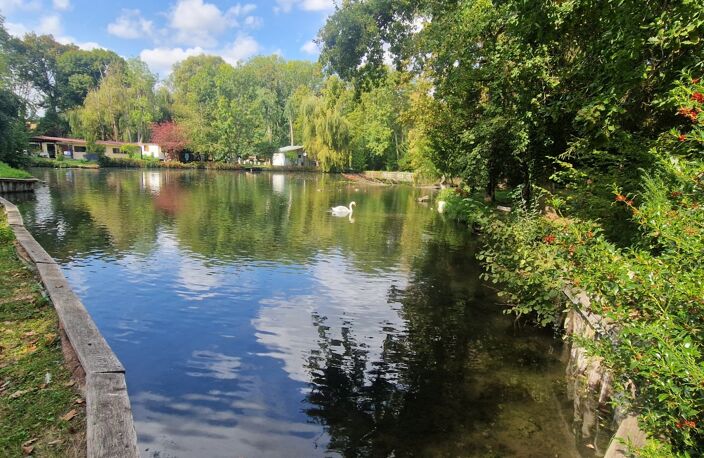 Vente Terrain 6 000 m&sup2; — photo 5