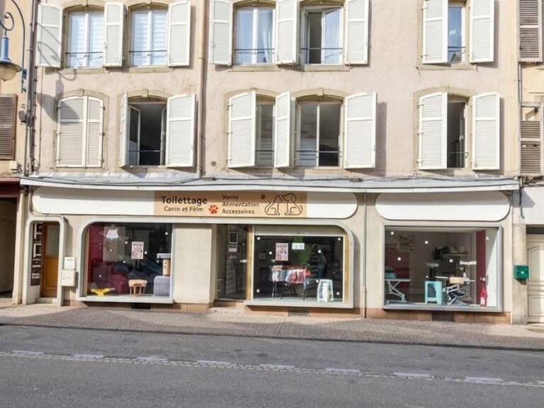 Des revenus attractifs et plusieurs leviers de rentabilité — photo 1