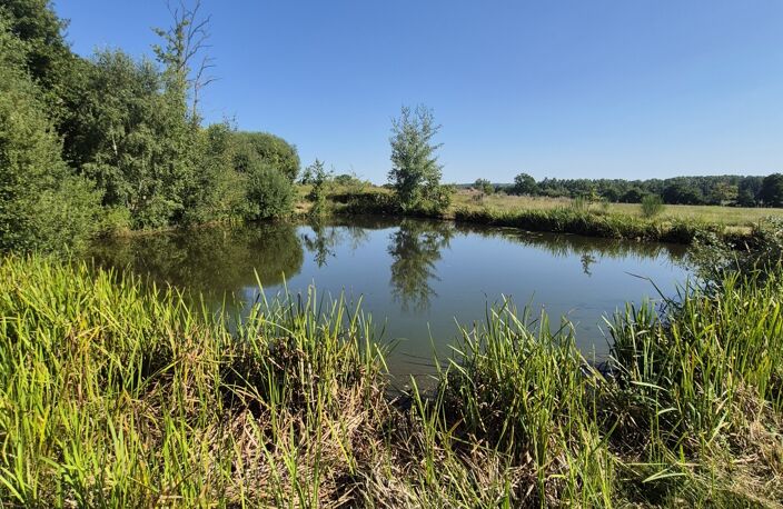 Vente Terrain 21 223 m&sup2; — photo 2