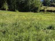 Vente Terrain 21 223 m&sup2; — photo 4