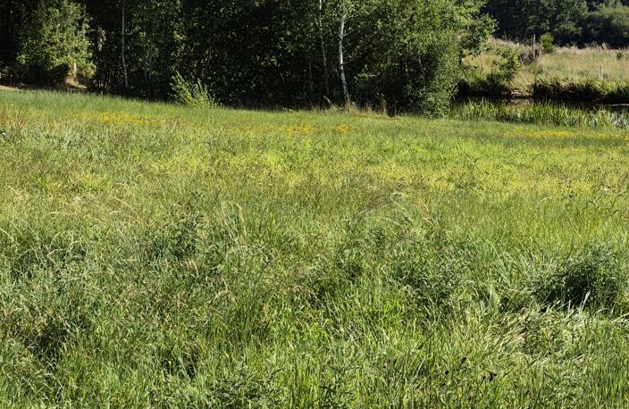 Vente Terrain 21 223 m&sup2; — photo 4
