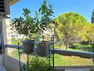 Vente Appartement 2 pièces — photo 2