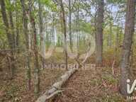 Vente Terrain 60 000 m&sup2; — photo 4
