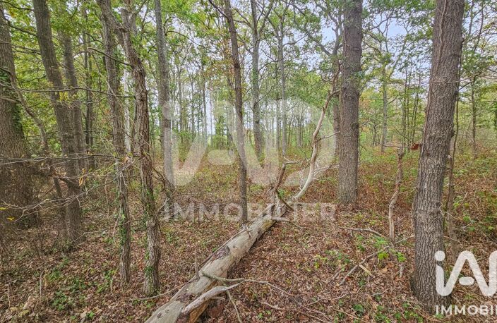Vente Terrain 60 000 m&sup2; — photo 4