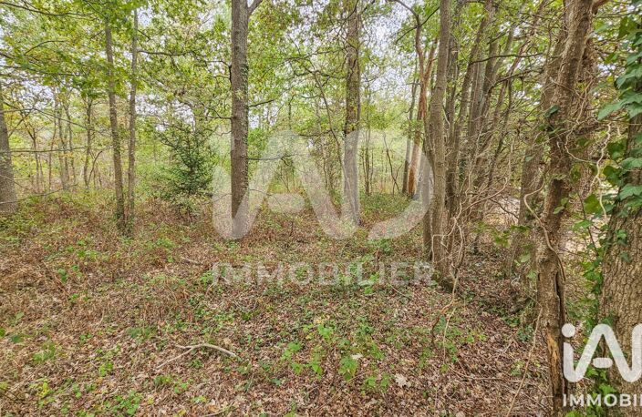 Vente Terrain 60 000 m&sup2; — photo 5