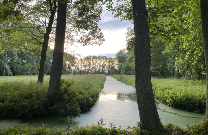 Château 18 -ème-Domaine de 9ha — photo 3