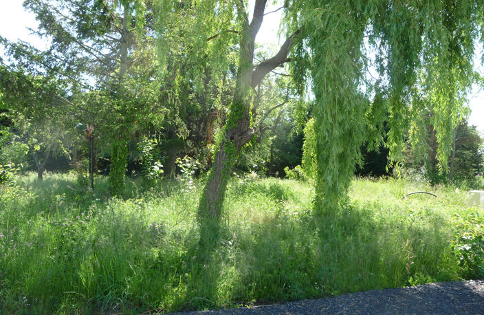 SAVIGNEUX proche de tout à pied TERRAIN 760 M2 VIABILISE — photo 3