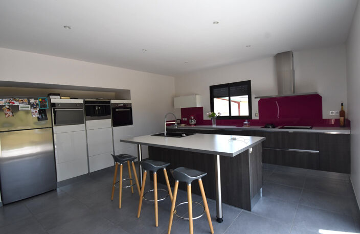 REVEL (31250) - MAISON DE 160M2 - ZONE ARTISANALE — photo 3