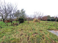 CINTEGABELLE (31550) - Maison de 136 m2 Fort potentiel — photo 3