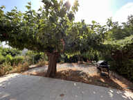 A 13 min de Carcassonne, Pavillon de 148 m2 avec garage et j — photo 4
