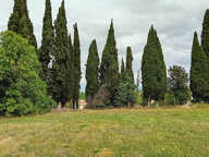 Beau terrain de 1.660m2 avec CU — photo 4
