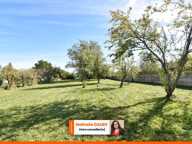 Ensemble de deux maison avec parc de 4000m², à Chaillac (36) — photo 3
