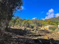Terrain constructible au coeur du Pays Cathare — photo 3