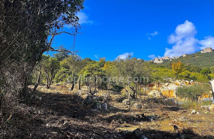Terrain constructible au coeur du Pays Cathare — photo 3