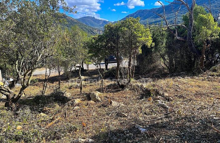 Terrain constructible au coeur du Pays Cathare — photo 5