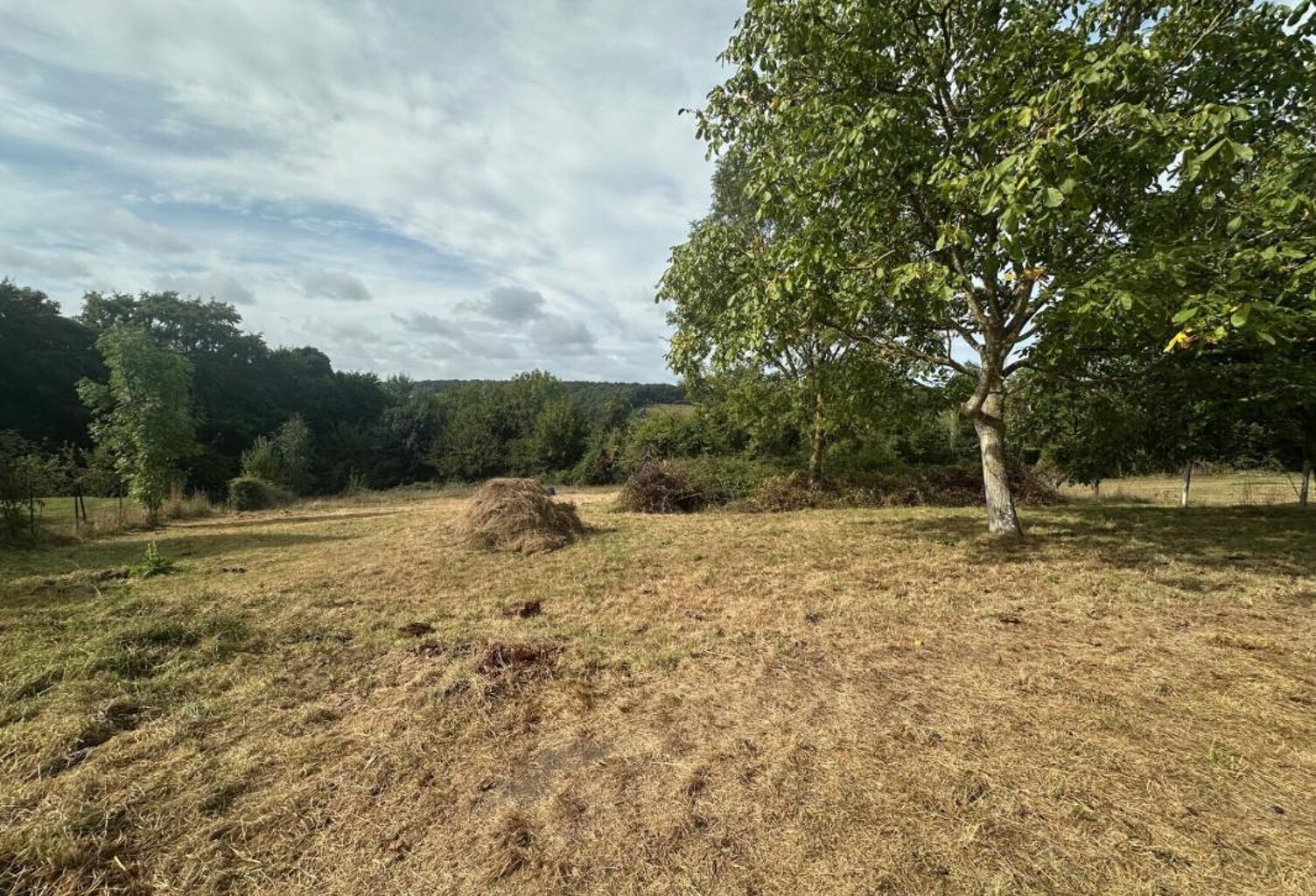 Vue sur la vallée — photo 1