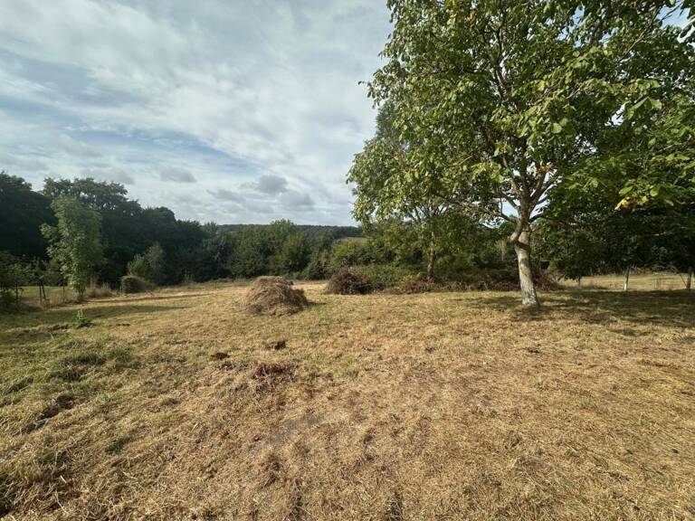 Vue sur la vallée — photo 1