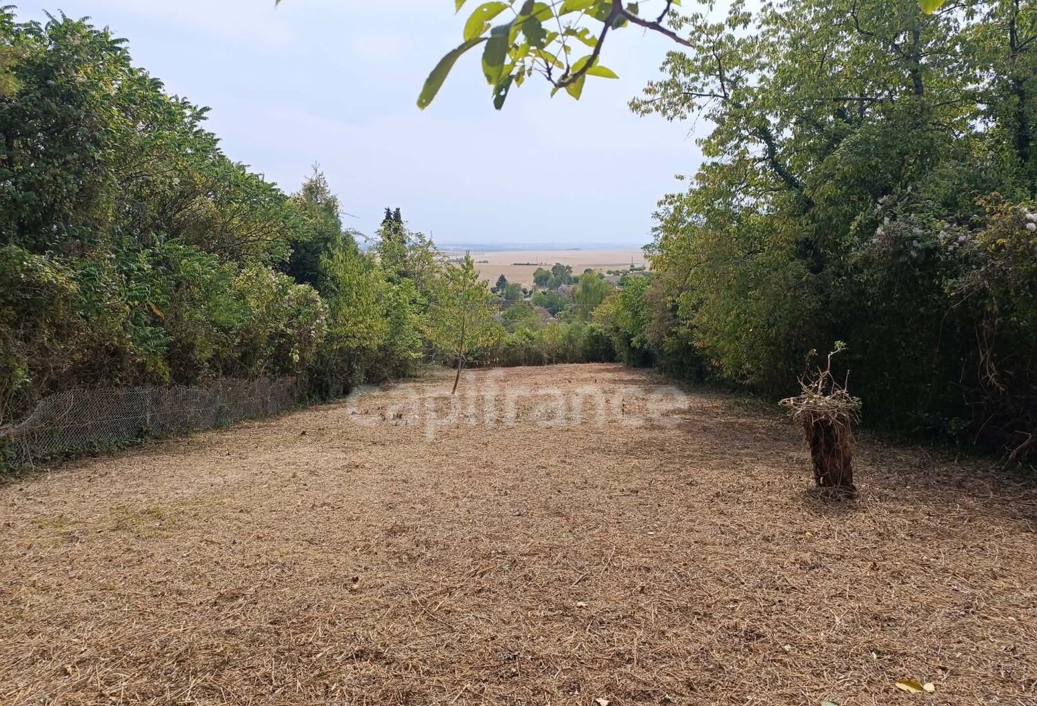 Terrain à vendre de 1 530,00 m² BELLECHAUME (89) — photo 1