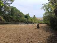 Terrain à vendre de 1 530,00 m² BELLECHAUME (89) — photo 3