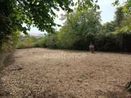 Terrain à vendre de 1 530,00 m² BELLECHAUME (89) — photo 4